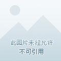 重生之女神养成计划 重生之女神养成计划