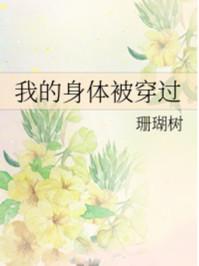 我的身体被穿过 我的身体被穿过