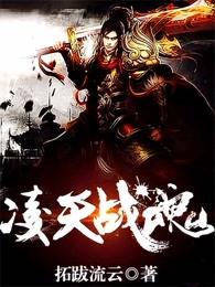 凌天战魂 凌天战魂