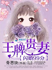 闪婚99分:王牌贵妻 闪婚99分:王牌贵妻