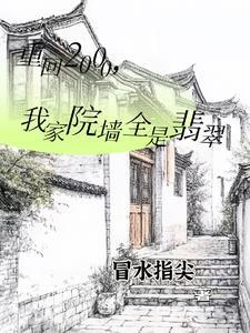 重回2000,我家院墙全是翡翠 重回2000,我家院墙全是翡翠