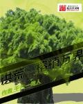 洪荒之榕植万界 洪荒之榕植万界