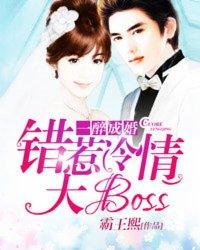 一醉成婚:错惹冷情大boss 一醉成婚:错惹冷情大boss
