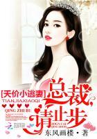 天价小逃妻:总裁,请止步 天价小逃妻:总裁,请止步