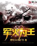 军火为王 军火为王